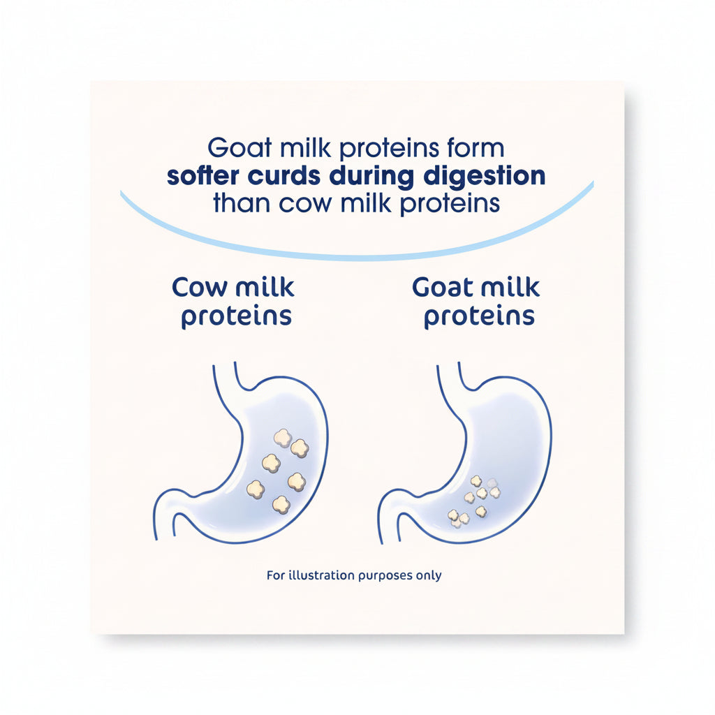 Kabrita Goat Milk Infant Formula